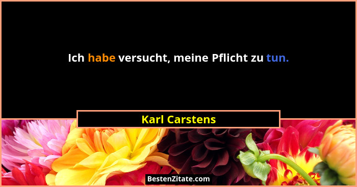 Ich habe versucht, meine Pflicht zu tun.... - Karl Carstens
