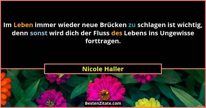 Im Leben immer wieder neue Brücken zu schlagen ist wichtig, denn sonst wird dich der Fluss des Lebens ins Ungewisse forttragen.... - Nicole Haller