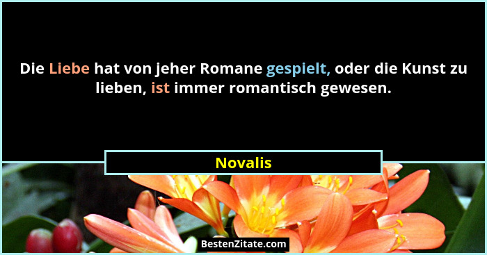 Die Liebe hat von jeher Romane gespielt, oder die Kunst zu lieben, ist immer romantisch gewesen.... - Novalis