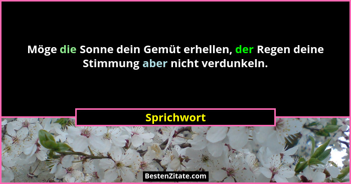Möge die Sonne dein Gemüt erhellen, der Regen deine Stimmung aber nicht verdunkeln.... - Sprichwort