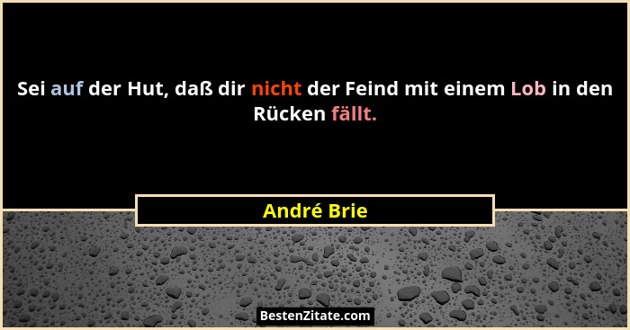 Sei auf der Hut, daß dir nicht der Feind mit einem Lob in den Rücken fällt.... - André Brie