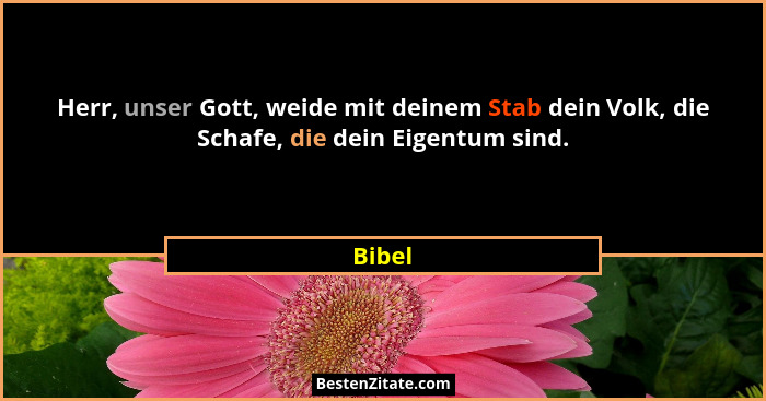 Herr, unser Gott, weide mit deinem Stab dein Volk, die Schafe, die dein Eigentum sind.... - Bibel