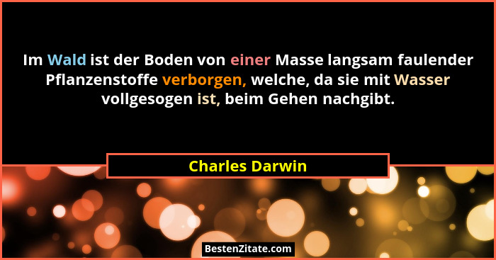 Im Wald ist der Boden von einer Masse langsam faulender Pflanzenstoffe verborgen, welche, da sie mit Wasser vollgesogen ist, beim Geh... - Charles Darwin