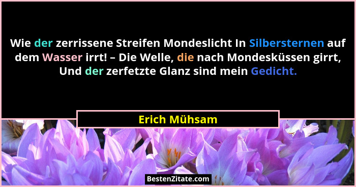Wie der zerrissene Streifen Mondeslicht In Silbersternen auf dem Wasser irrt! – Die Welle, die nach Mondesküssen girrt, Und der zerfetz... - Erich Mühsam