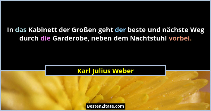 In das Kabinett der Großen geht der beste und nächste Weg durch die Garderobe, neben dem Nachtstuhl vorbei.... - Karl Julius Weber