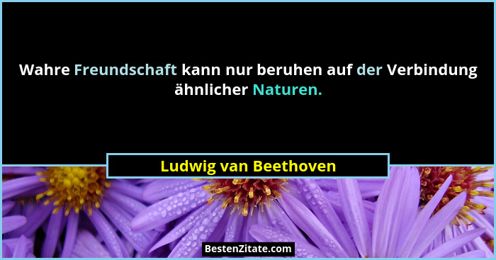 Wahre Freundschaft kann nur beruhen auf der Verbindung ähnlicher Naturen.... - Ludwig van Beethoven