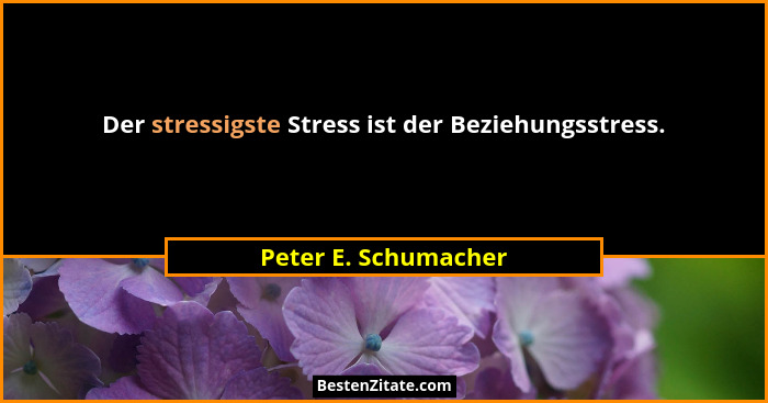 Der stressigste Stress ist der Beziehungsstress.... - Peter E. Schumacher