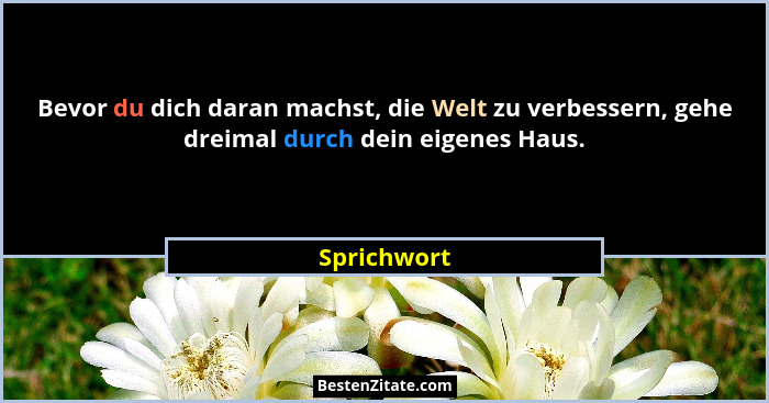 Bevor du dich daran machst, die Welt zu verbessern, gehe dreimal durch dein eigenes Haus.... - Sprichwort