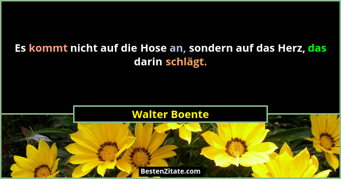 Es kommt nicht auf die Hose an, sondern auf das Herz, das darin schlägt.... - Walter Boente