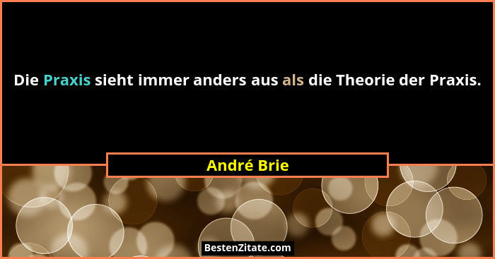 Die Praxis sieht immer anders aus als die Theorie der Praxis.... - André Brie