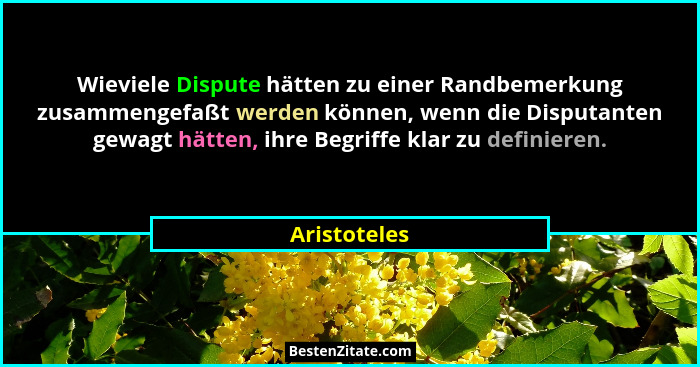 Wieviele Dispute hätten zu einer Randbemerkung zusammengefaßt werden können, wenn die Disputanten gewagt hätten, ihre Begriffe klar zu d... - Aristoteles