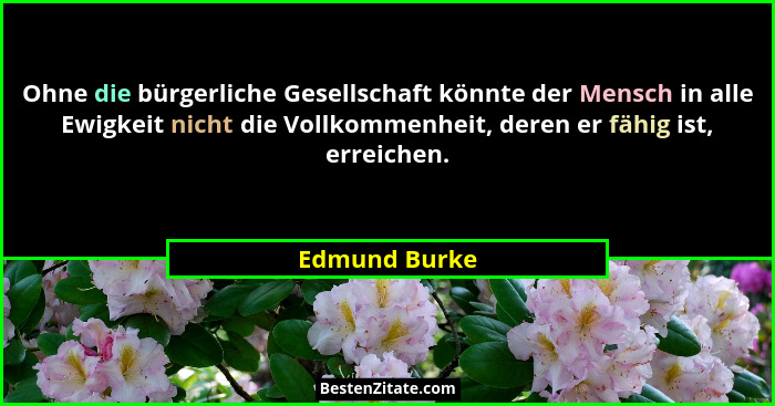 Ohne die bürgerliche Gesellschaft könnte der Mensch in alle Ewigkeit nicht die Vollkommenheit, deren er fähig ist, erreichen.... - Edmund Burke