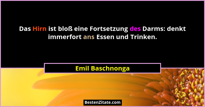 Das Hirn ist bloß eine Fortsetzung des Darms: denkt immerfort ans Essen und Trinken.... - Emil Baschnonga