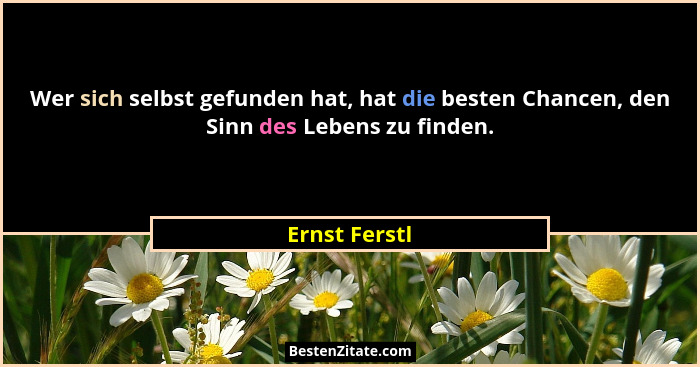 Wer sich selbst gefunden hat, hat die besten Chancen, den Sinn des Lebens zu finden.... - Ernst Ferstl