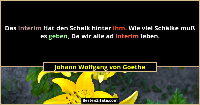 Das Interim Hat den Schalk hinter ihm. Wie viel Schälke muß es geben, Da wir alle ad interim leben.... - Johann Wolfgang von Goethe