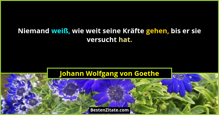 Niemand weiß, wie weit seine Kräfte gehen, bis er sie versucht hat.... - Johann Wolfgang von Goethe