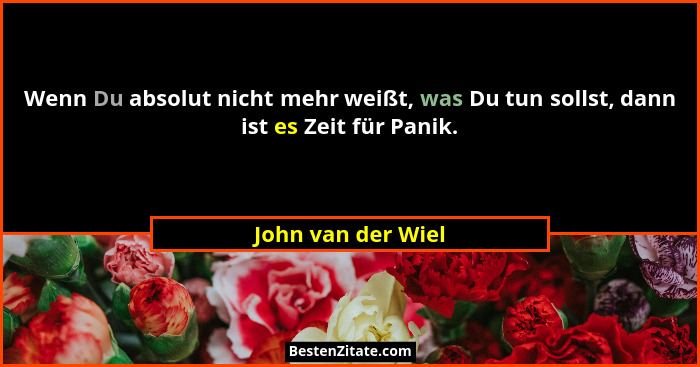 Wenn Du absolut nicht mehr weißt, was Du tun sollst, dann ist es Zeit für Panik.... - John van der Wiel