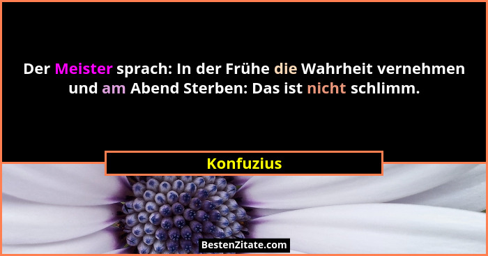 Der Meister sprach: In der Frühe die Wahrheit vernehmen und am Abend Sterben: Das ist nicht schlimm.... - Konfuzius