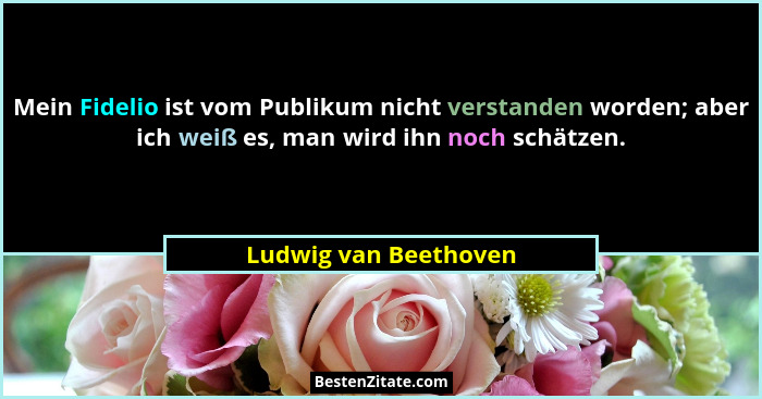 Mein Fidelio ist vom Publikum nicht verstanden worden; aber ich weiß es, man wird ihn noch schätzen.... - Ludwig van Beethoven