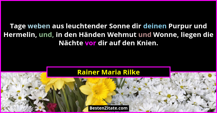 Tage weben aus leuchtender Sonne dir deinen Purpur und Hermelin, und, in den Händen Wehmut und Wonne, liegen die Nächte vor dir a... - Rainer Maria Rilke