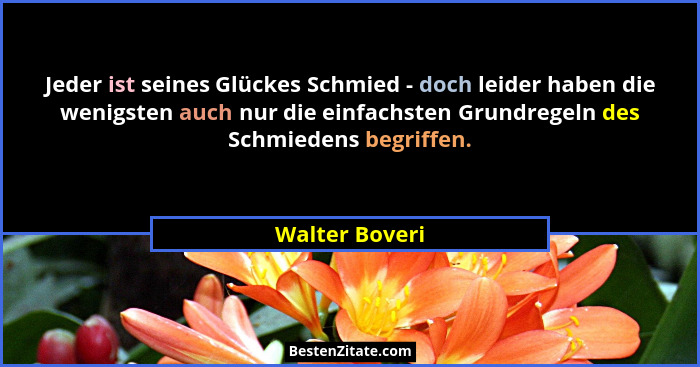 Jeder ist seines Glückes Schmied - doch leider haben die wenigsten auch nur die einfachsten Grundregeln des Schmiedens begriffen.... - Walter Boveri