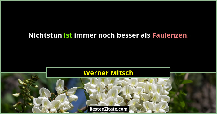 Nichtstun ist immer noch besser als Faulenzen.... - Werner Mitsch
