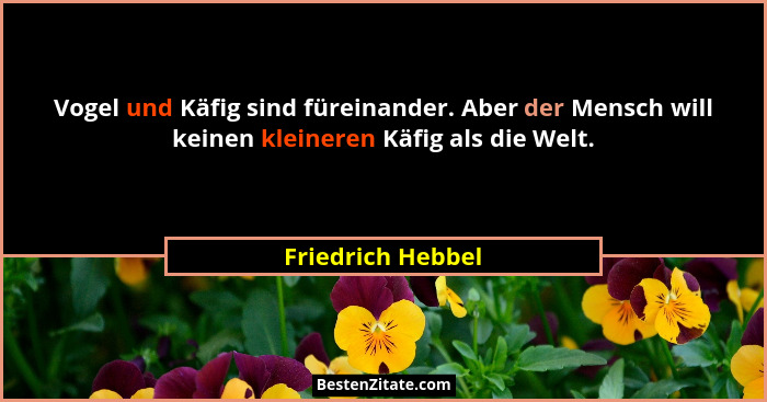 Vogel und Käfig sind füreinander. Aber der Mensch will keinen kleineren Käfig als die Welt.... - Friedrich Hebbel