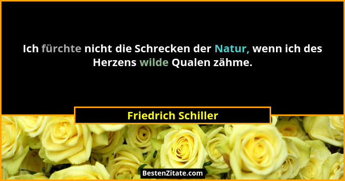Ich fürchte nicht die Schrecken der Natur, wenn ich des Herzens wilde Qualen zähme.... - Friedrich Schiller