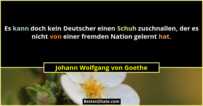 Es kann doch kein Deutscher einen Schuh zuschnallen, der es nicht von einer fremden Nation gelernt hat.... - Johann Wolfgang von Goethe