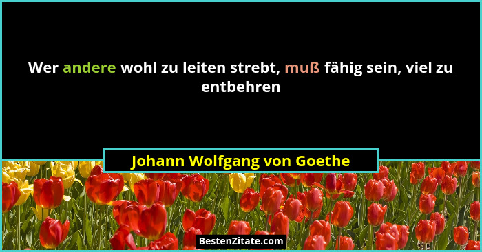 Wer andere wohl zu leiten strebt, muß fähig sein, viel zu entbehren... - Johann Wolfgang von Goethe