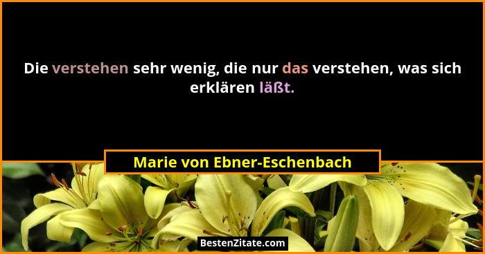 Die verstehen sehr wenig, die nur das verstehen, was sich erklären läßt.... - Marie von Ebner-Eschenbach