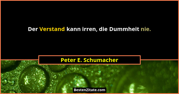 Der Verstand kann irren, die Dummheit nie.... - Peter E. Schumacher