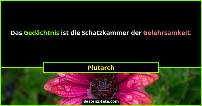 Das Gedächtnis ist die Schatzkammer der Gelehrsamkeit.... - Plutarch