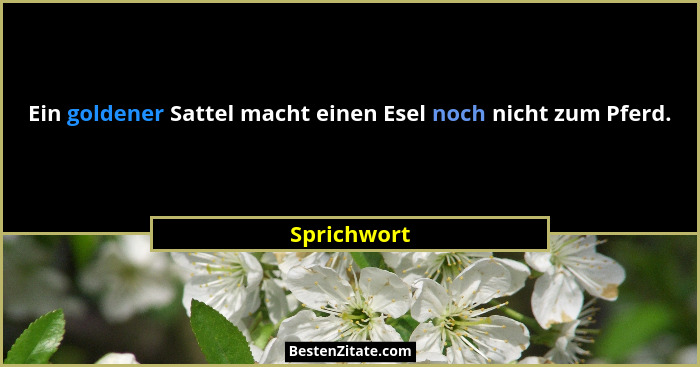 Ein goldener Sattel macht einen Esel noch nicht zum Pferd.... - Sprichwort