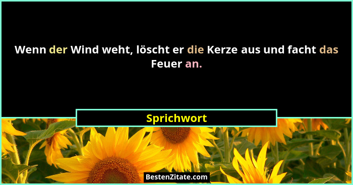 Wenn der Wind weht, löscht er die Kerze aus und facht das Feuer an.... - Sprichwort