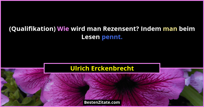 (Qualifikation) Wie wird man Rezensent? Indem man beim Lesen pennt.... - Ulrich Erckenbrecht