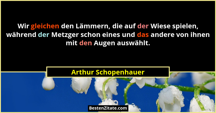 Wir gleichen den Lämmern, die auf der Wiese spielen, während der Metzger schon eines und das andere von ihnen mit den Augen ausw... - Arthur Schopenhauer