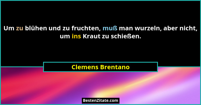 Um zu blühen und zu fruchten, muß man wurzeln, aber nicht, um ins Kraut zu schießen.... - Clemens Brentano