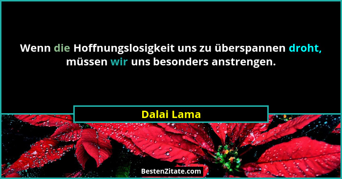 Wenn die Hoffnungslosigkeit uns zu überspannen droht, müssen wir uns besonders anstrengen.... - Dalai Lama