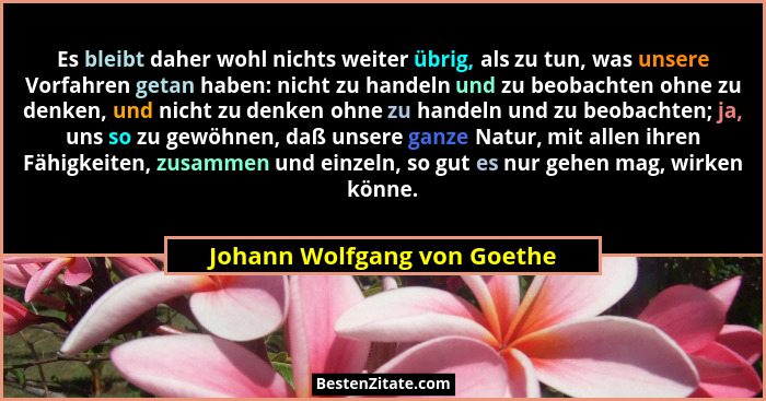 Es bleibt daher wohl nichts weiter übrig, als zu tun, was unsere Vorfahren getan haben: nicht zu handeln und zu beobachte... - Johann Wolfgang von Goethe