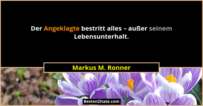 Der Angeklagte bestritt alles – außer seinem Lebensunterhalt.... - Markus M. Ronner