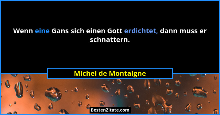 Wenn eine Gans sich einen Gott erdichtet, dann muss er schnattern.... - Michel de Montaigne