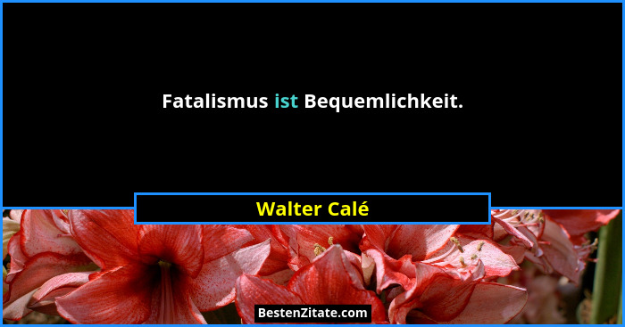 Fatalismus ist Bequemlichkeit.... - Walter Calé