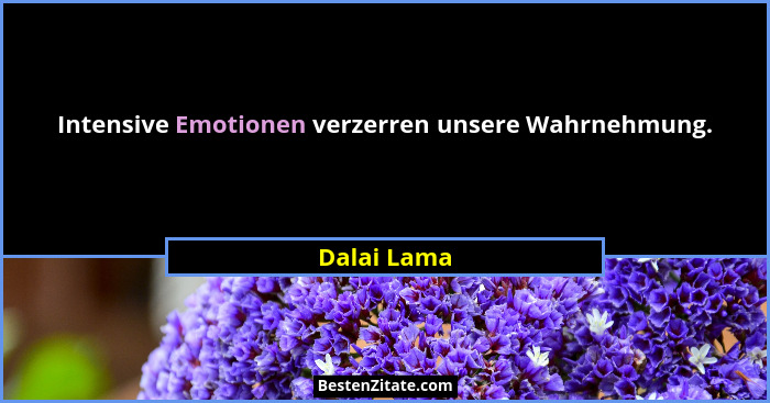 Intensive Emotionen verzerren unsere Wahrnehmung.... - Dalai Lama
