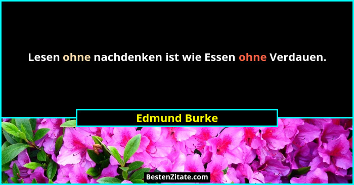 Lesen ohne nachdenken ist wie Essen ohne Verdauen.... - Edmund Burke