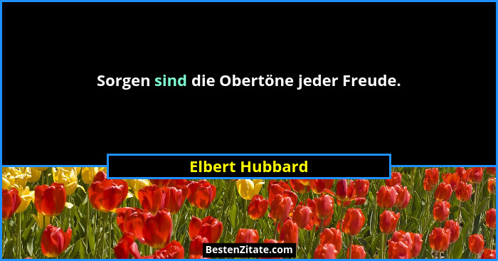 Sorgen sind die Obertöne jeder Freude.... - Elbert Hubbard
