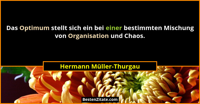 Das Optimum stellt sich ein bei einer bestimmten Mischung von Organisation und Chaos.... - Hermann Müller-Thurgau