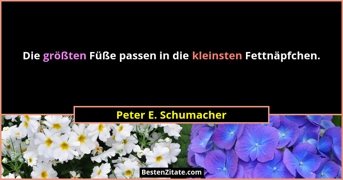 Die größten Füße passen in die kleinsten Fettnäpfchen.... - Peter E. Schumacher