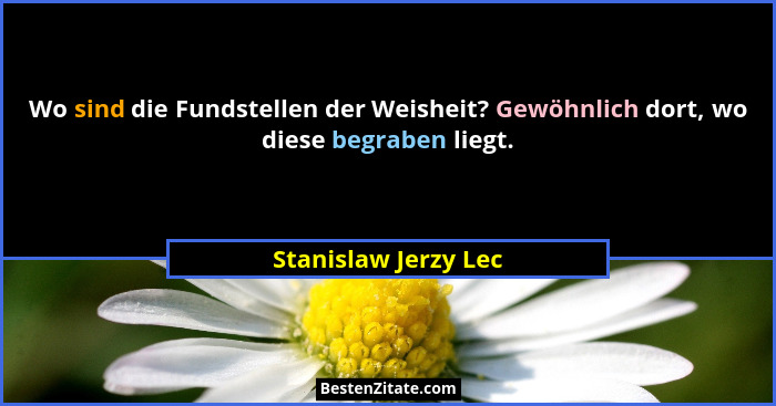 Wo sind die Fundstellen der Weisheit? Gewöhnlich dort, wo diese begraben liegt.... - Stanislaw Jerzy Lec