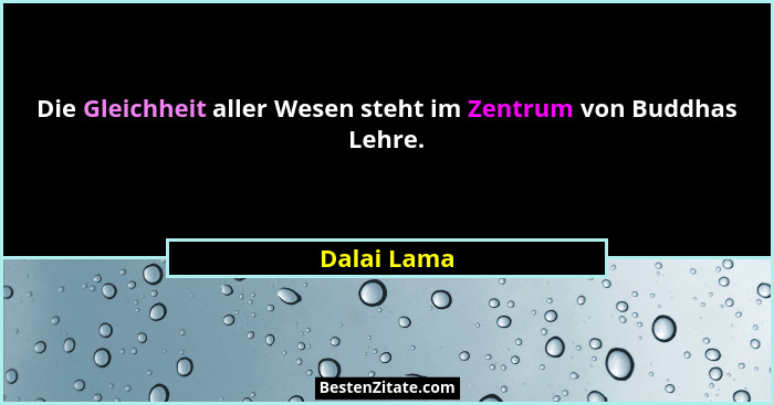 Die Gleichheit aller Wesen steht im Zentrum von Buddhas Lehre.... - Dalai Lama